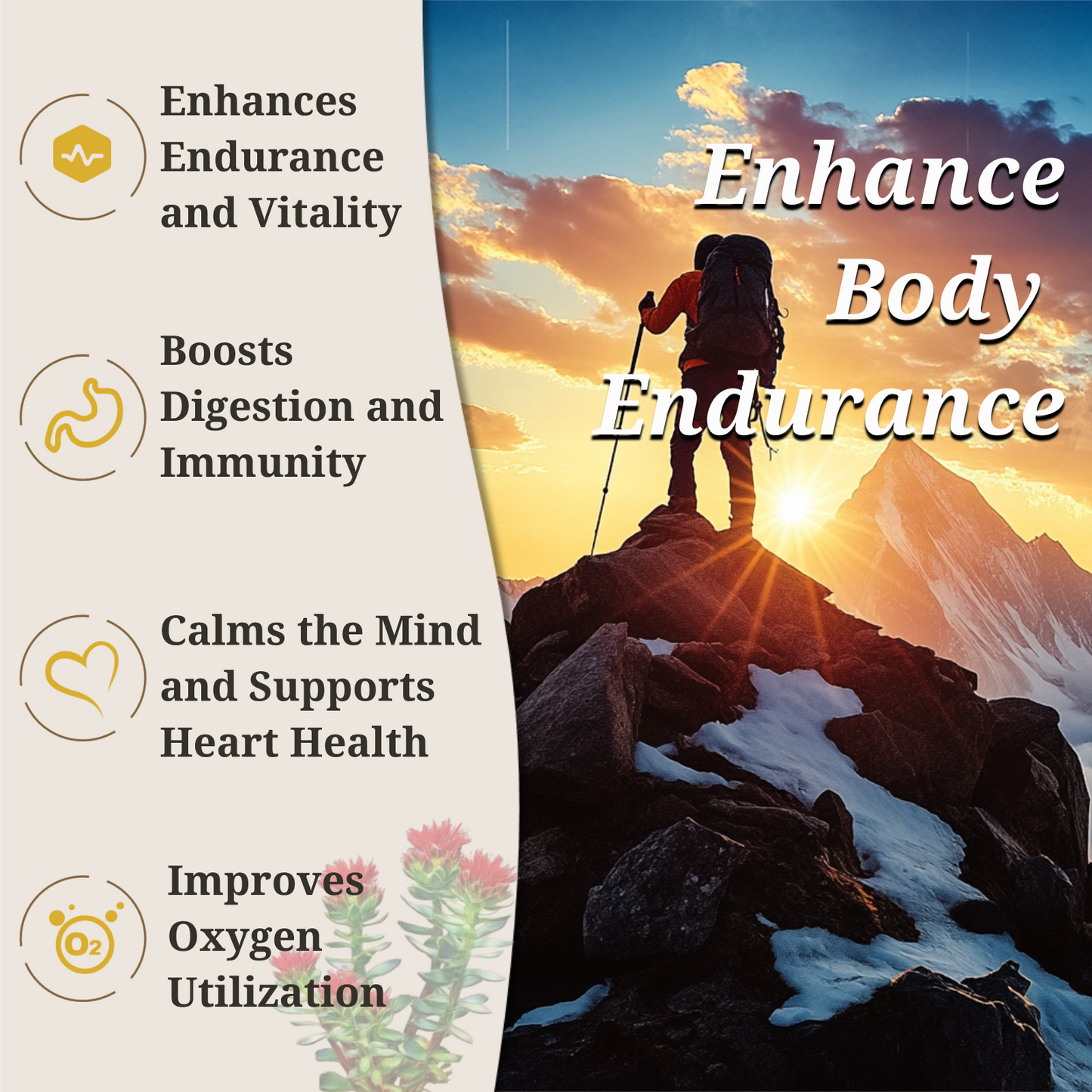 Endurance Booster - Rhodiola and Goji Berry Daily Supplement, Support Energy, Mental Calmness, Boost Digestion, Enhance Immunity, Improves Oxygen Utilization, Tibetan Natural Herbs, 90 Veggie Capsules