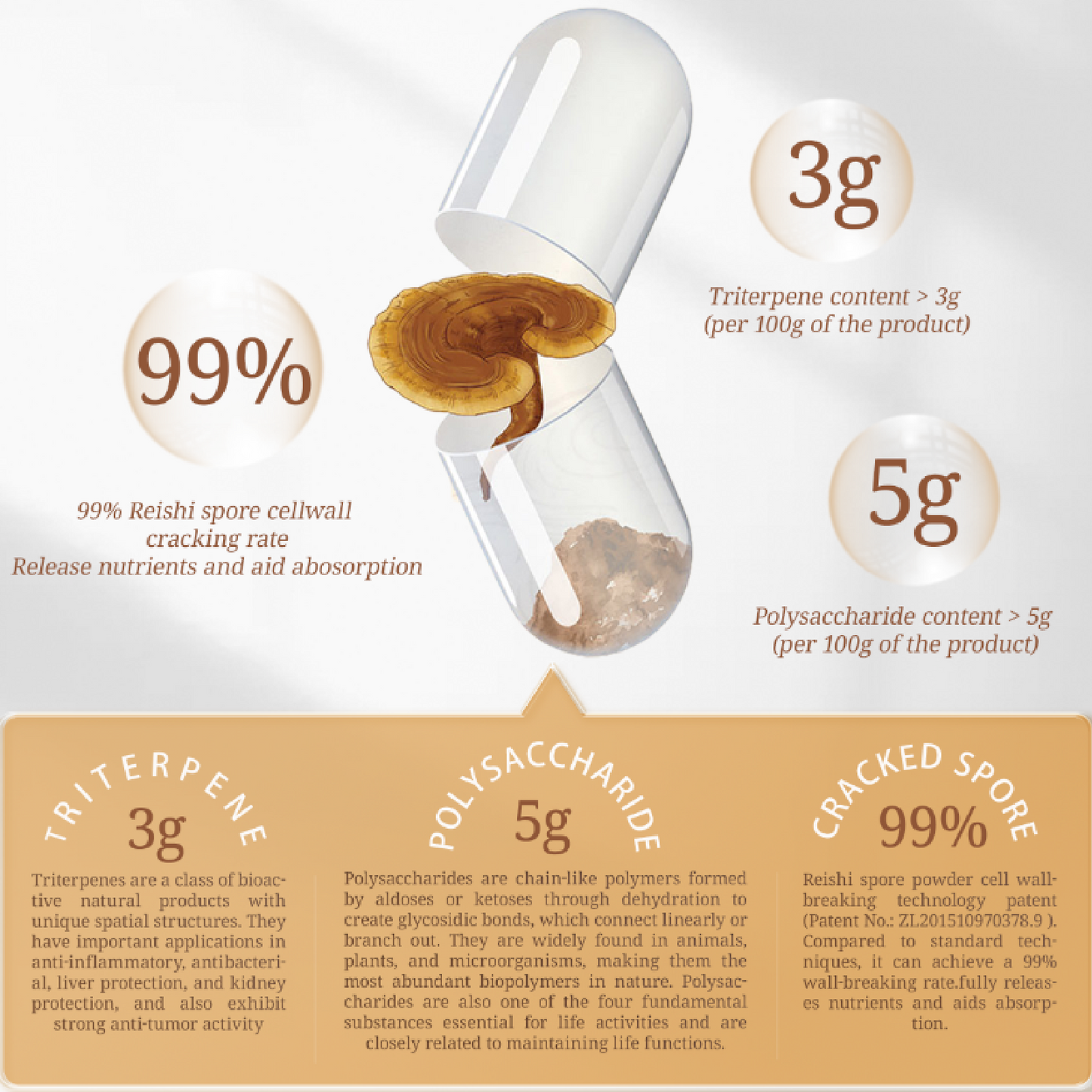 Immunity Care - Natural Reishi Mushroom, Organic Daily Supplements, Immune Support and Longevity - Vegan, Gluten-Free, Non-GMO, Tibetan Natural Herbal Supplement - 120 Capsules, 1400 mg