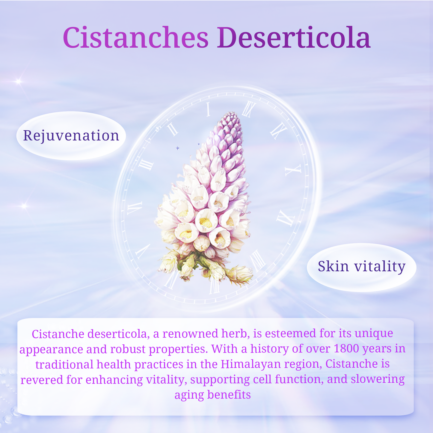 Natural Cistanche Deserticola Extract Nourishing Soap, Pack of 2 bars