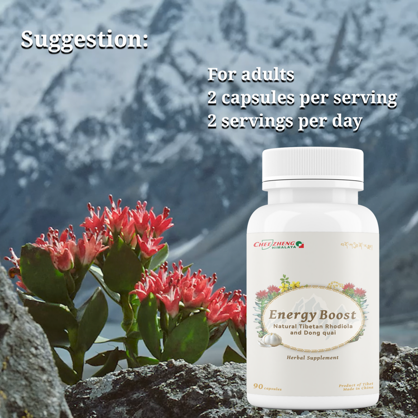 Energy Boost - Rhodiola and Angelica Sinensis, Boost Daily Energy, Reduce Fatigue, Enhance Blood and Heart Health, Metabolism, Support Lung Function, Tibetan Natual Herbs, 120 Veggie Capsules