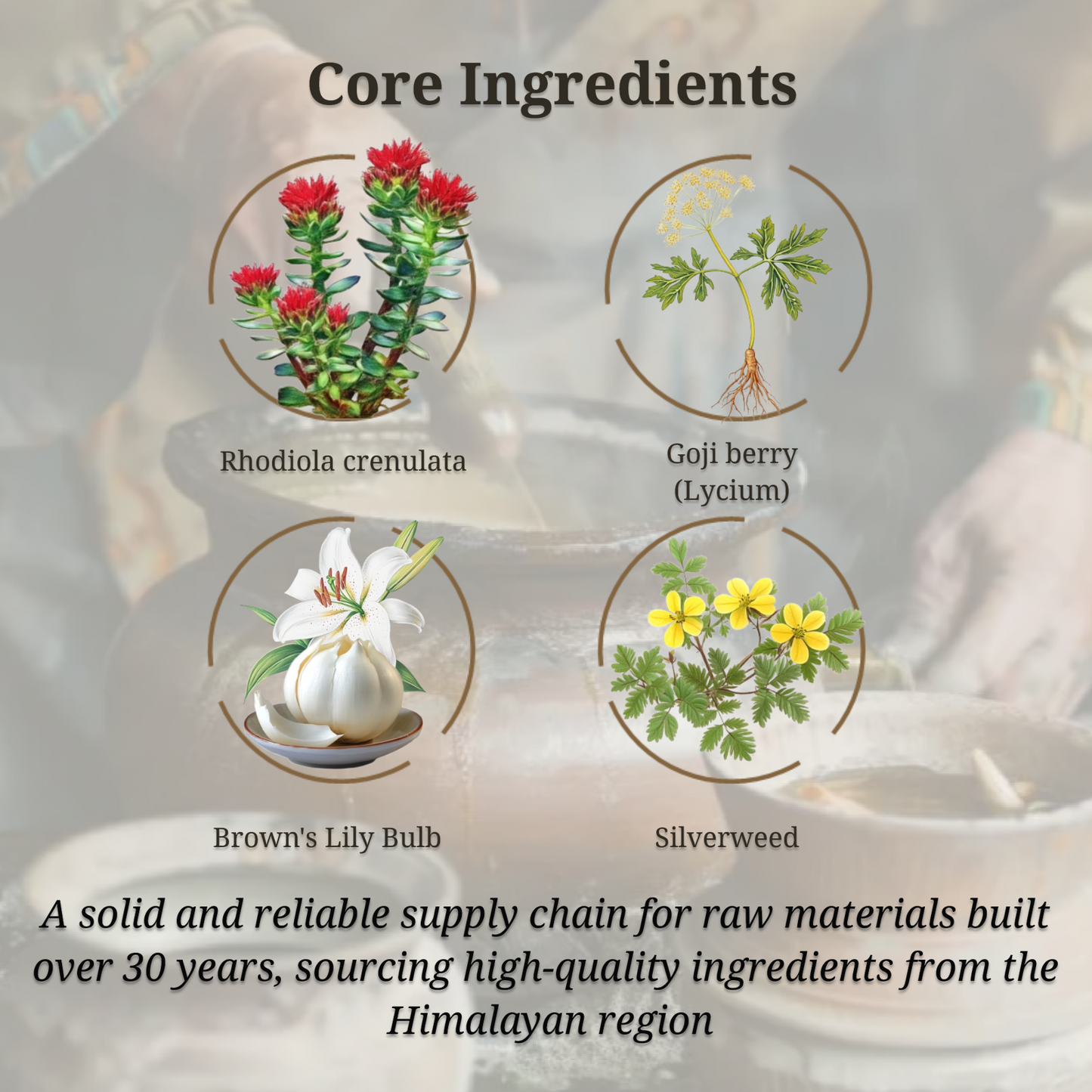 Energy Boost - Rhodiola and Angelica Sinensis, Boost Daily Energy, Reduce Fatigue, Enhance Blood and Heart Health, Metabolism, Support Lung Function, Tibetan Natual Herbs, 120 Veggie Capsules