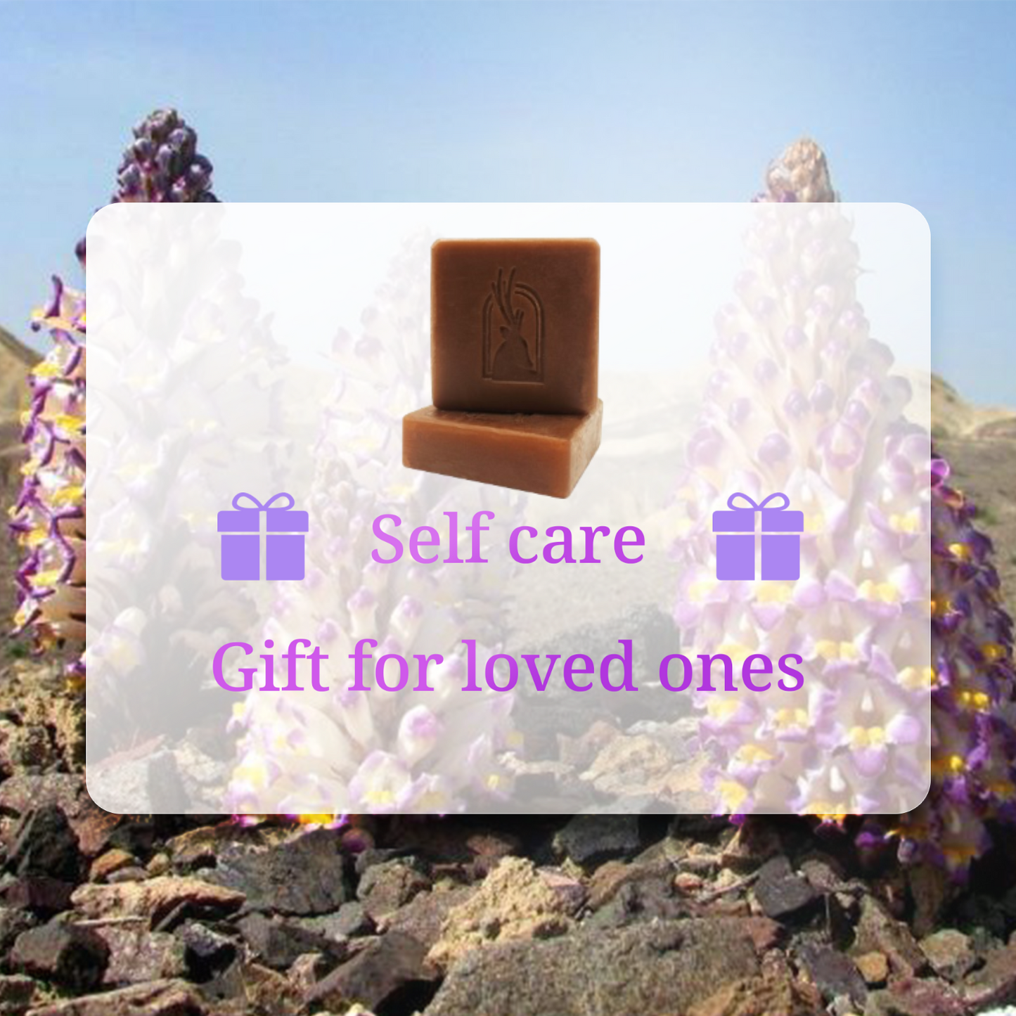 Natural Cistanche Deserticola Extract Nourishing Soap, Pack of 2 bars