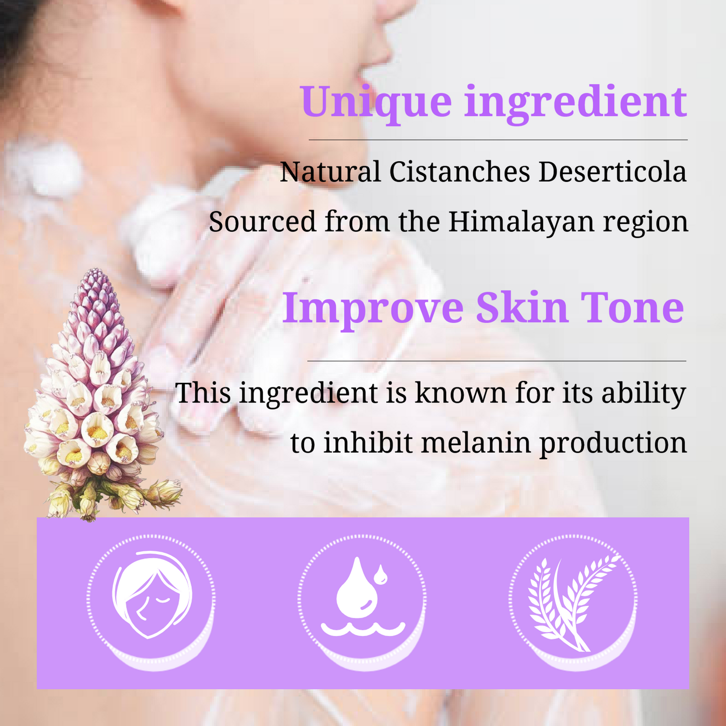 Natural Cistanche Deserticola Extract Nourishing Soap, Pack of 2 bars