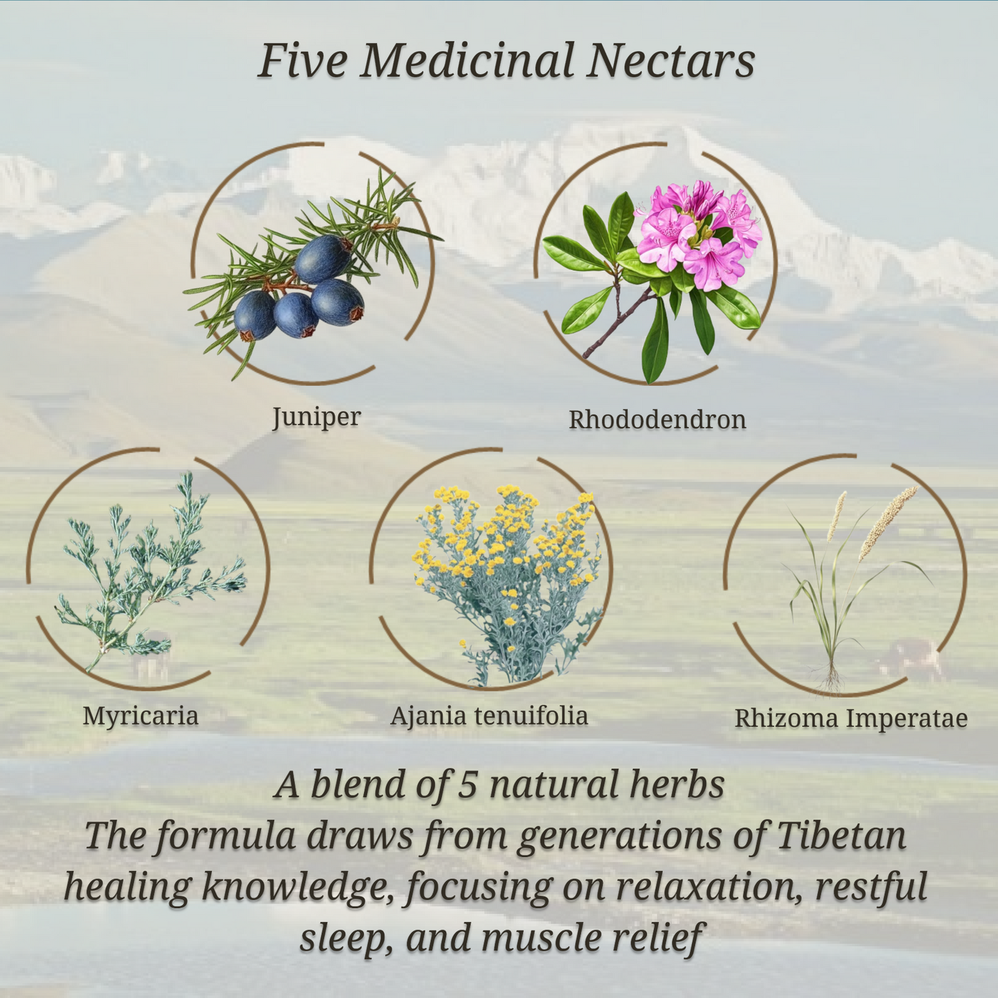 "Five Medicinal Nectars" Tibetan Herbal Bath Therapy